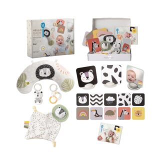 Παιχνίδι Δραστηριότητας Newborn Develop & Play Kit Tag Toys