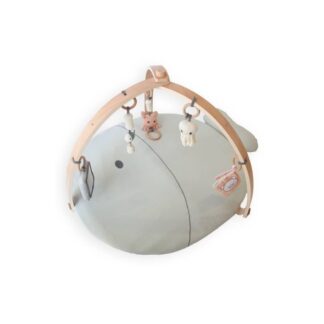 Γυμναστήριο Δραστηριοτήτων Μπαμπού Με Ξύλινους Βραχίονες Fishes 242 Bamboom