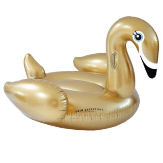 Σωσίβιο 95εκ Για Παιδιά Από 6+ Ετών Gold Swan Swim Essentials