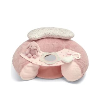 Παιχνίδι Δραστηριοτήτων-Μαλακό Κάθισμα WTTW Pink Mamas & Papas